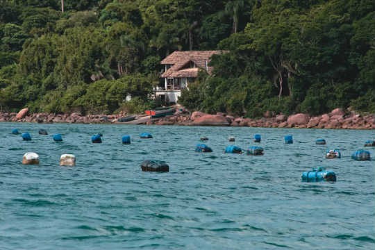 Ostras são mais apetitosas no inverno e início da primavera