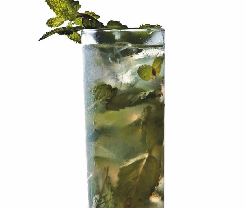 Mojito Dasilva