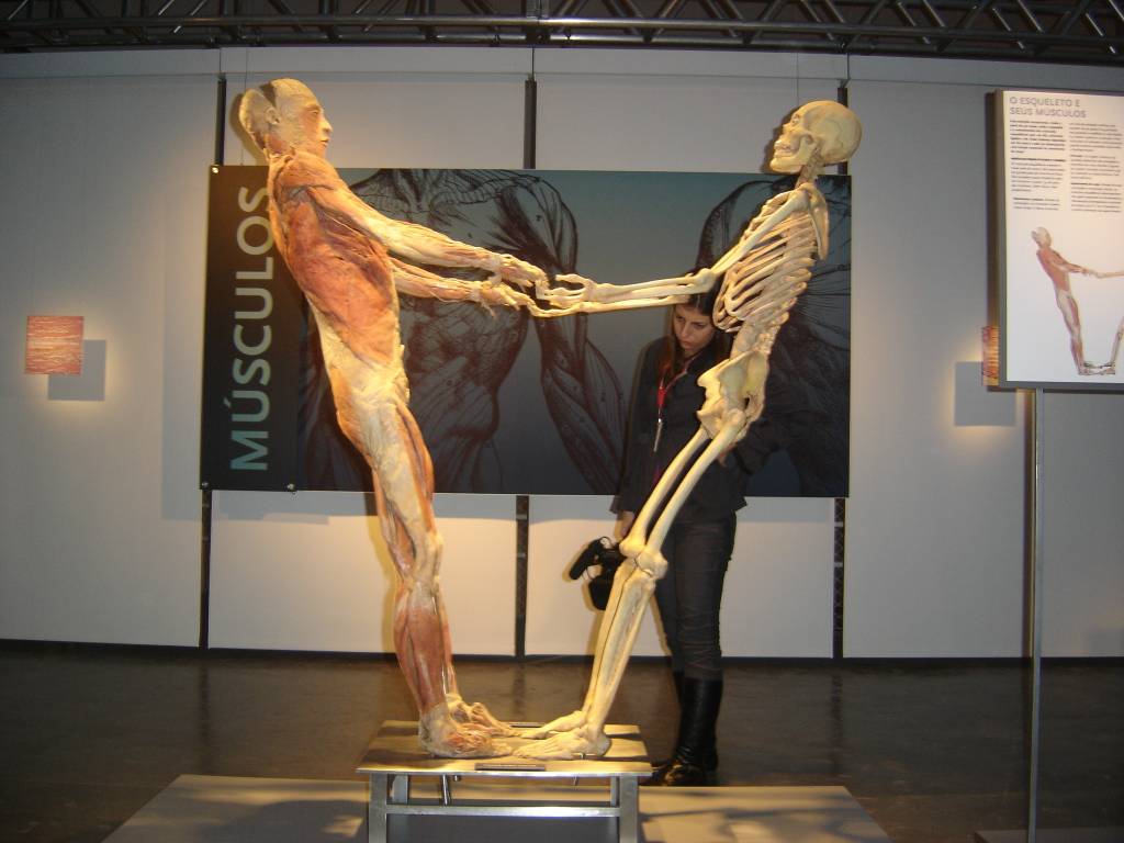 ‘Corpos – A Exposição’: saiba tudo o que vai rolar na Oca