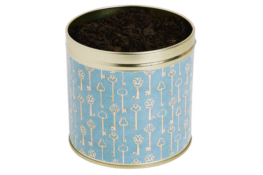 Kit para plantar trevo de quatro folhas Kit para plantar trevo de quatro folhas