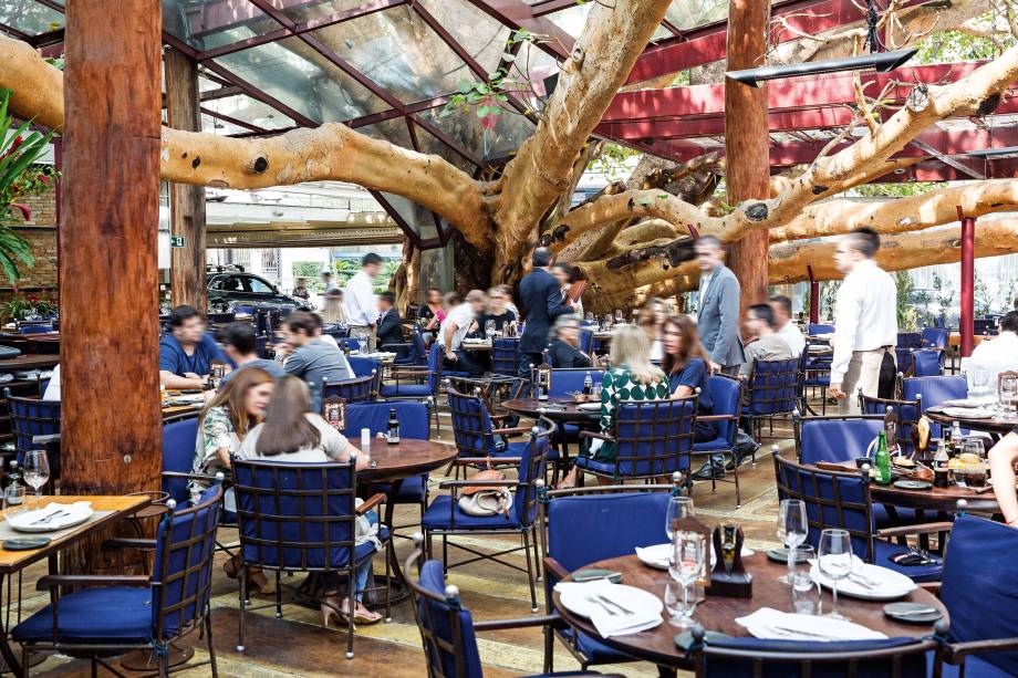 Ambiente disputado: lugares à sombra da árvore centenária Ambiente disputado: lugares à sombra da árvore centenária