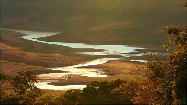 A Lei da Água - Novo Código Florestal