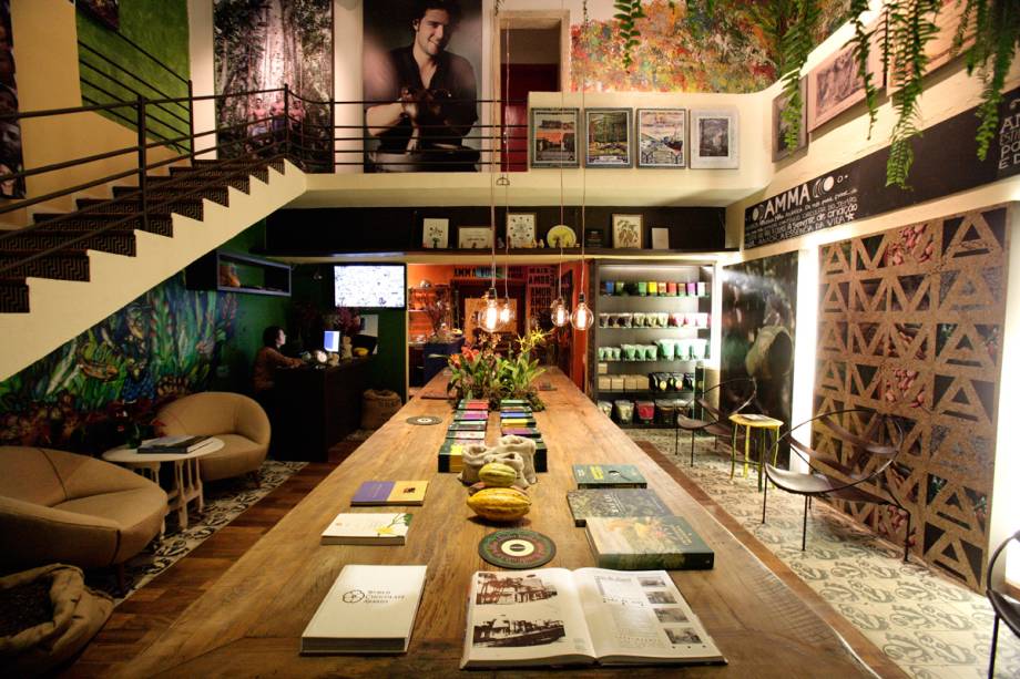 Universo dedicado ao cacau Universo dedicado ao cacau