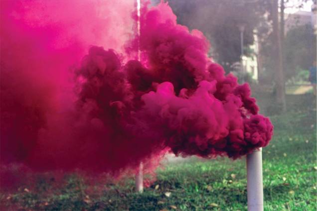 Décio Noviello, Ação no Parque Municipal, 1970 Décio Noviello, Ação no Parque Municipal, 1970