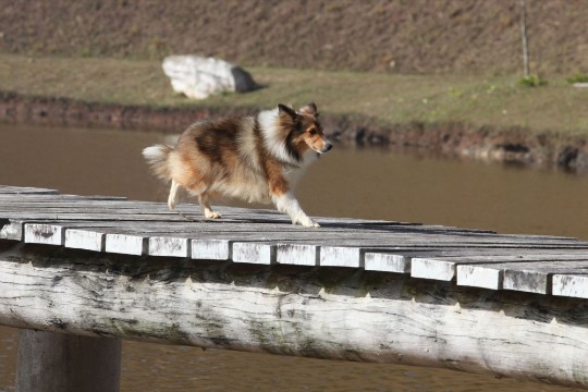 Encrenquinhas: passeios e brincadeiras estão na programação Encrenquinhas: passeios e brincadeiras estão na programação
