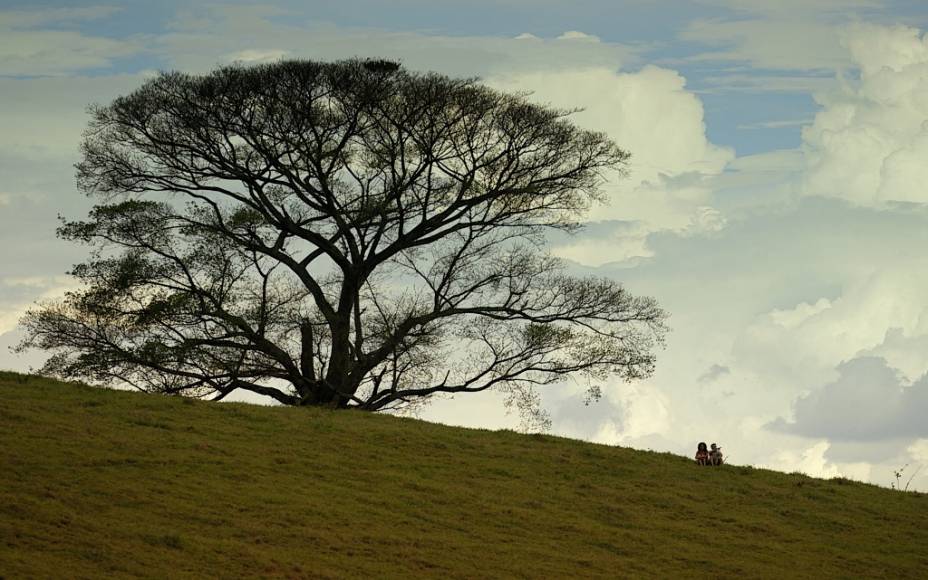 Estive em Lisboa e Lembrei de Você Estive em Lisboa e Lembrei de Você