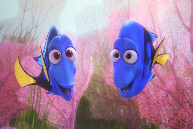 Procurando Dory Procurando Dory