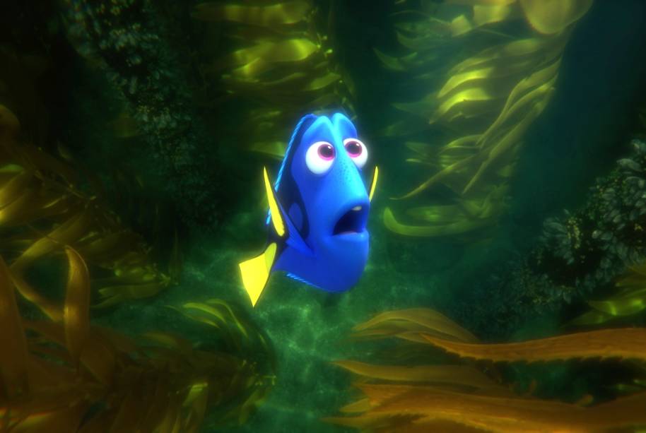 Procurando Dory Procurando Dory