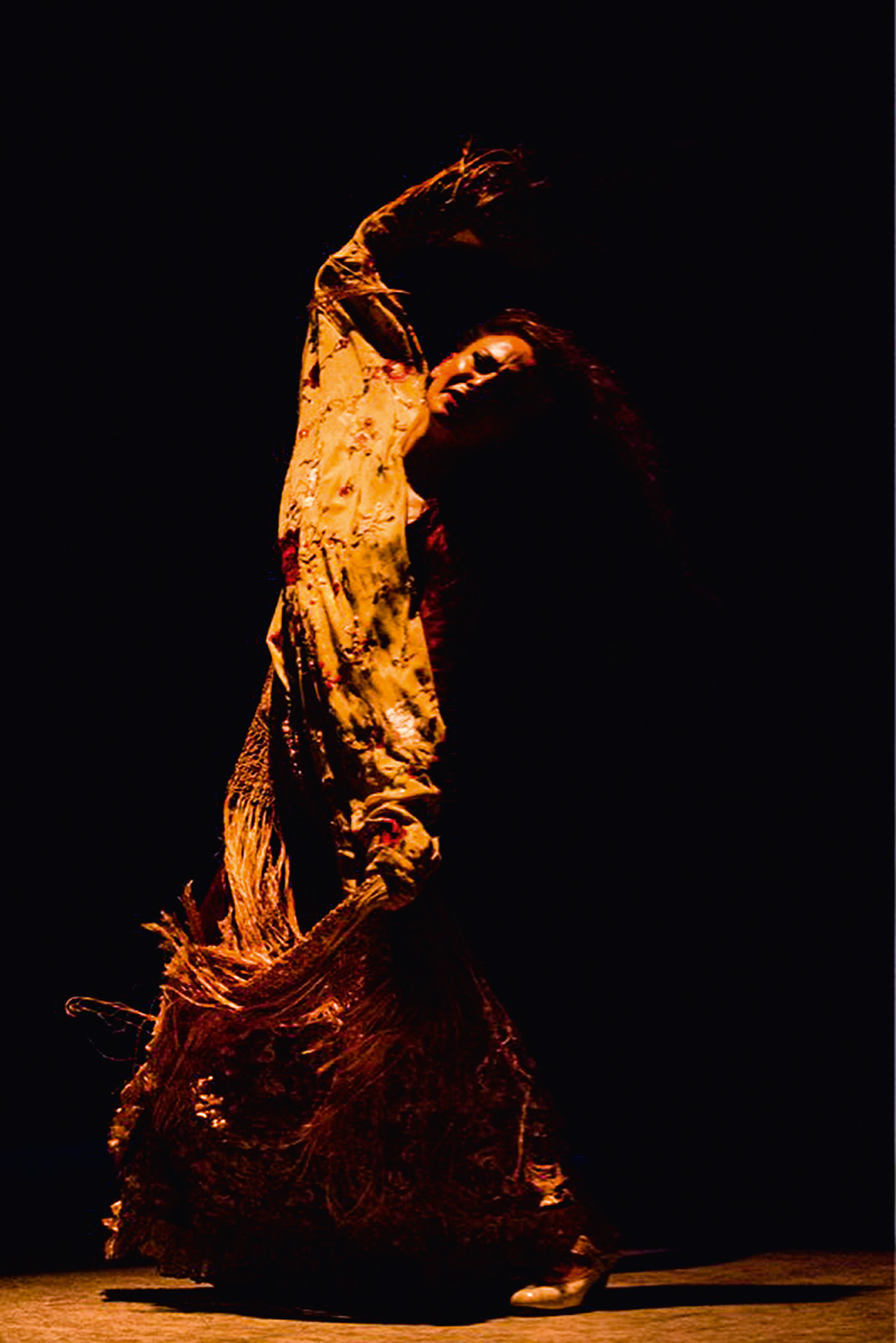 flamenco-fotografia-carmen-talegona-oro-molido024-foto-eduardo-sardinha-jpg.jpeg