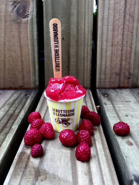 Sorvete de framboesa Sorvete de framboesa