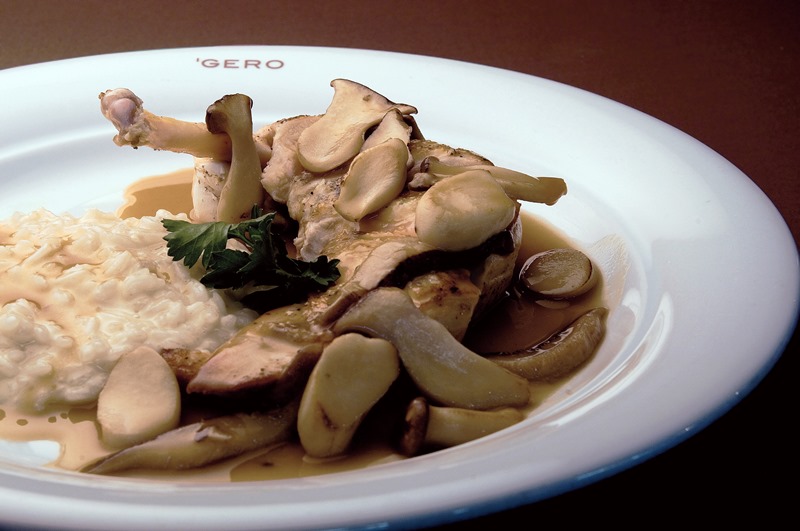 Galinha dangola com molho de cogumelos e risoto de parmesão Galinha dangola com molho de cogumelos e risoto de parmesão