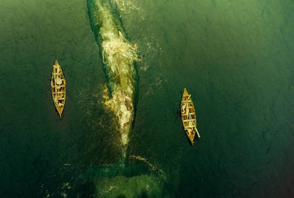 No Coração do Mar: o navio baleeiro Essex é atacado por uma baleia gigante No Coração do Mar: o navio baleeiro Essex é atacado por uma baleia gigante