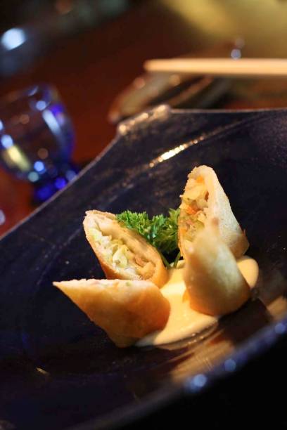 Harumaki de carne e legumes do Hakken Harumaki de carne e legumes do Hakken