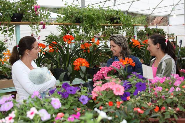 Público pode levar exemplares de flores para casa Público pode levar exemplares de flores para casa