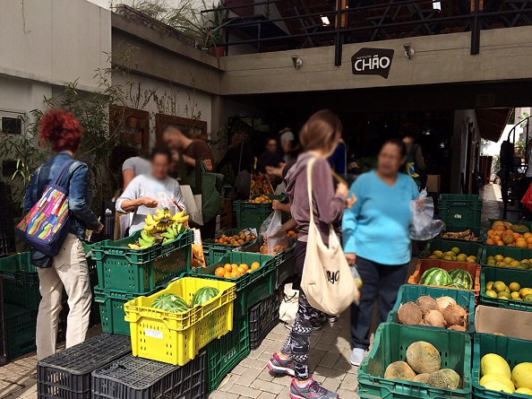 Instituto Chão Instituto Chão