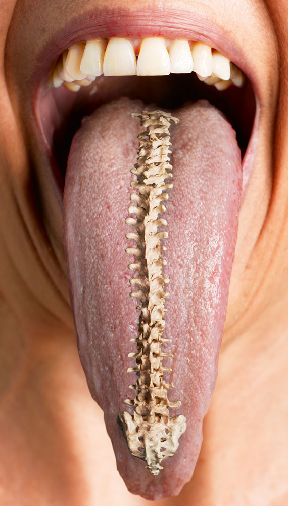 lingua-vertebral-jpg.jpeg
