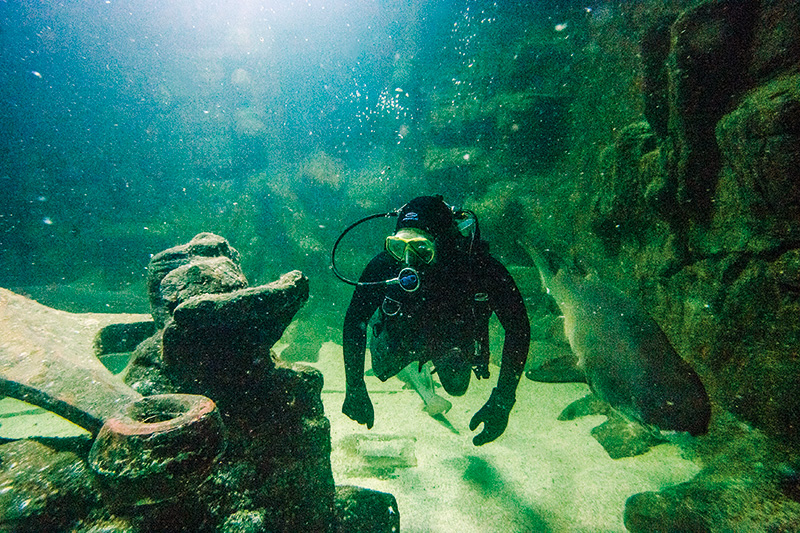 Rodrigo Gutierrez: responsável pelo manejo dos tubarões