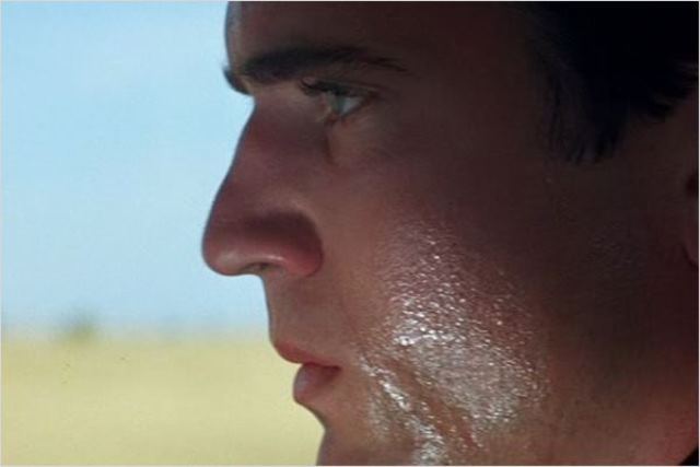 Mad Max: longa dirigido por George Miller e nomes como Mel Gibson no elenco Mad Max: longa dirigido por George Miller e nomes como Mel Gibson no elenco