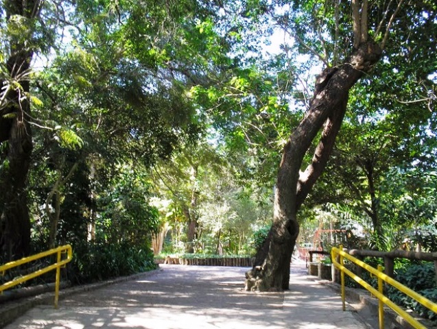 Parque Nabuco Parque Nabuco