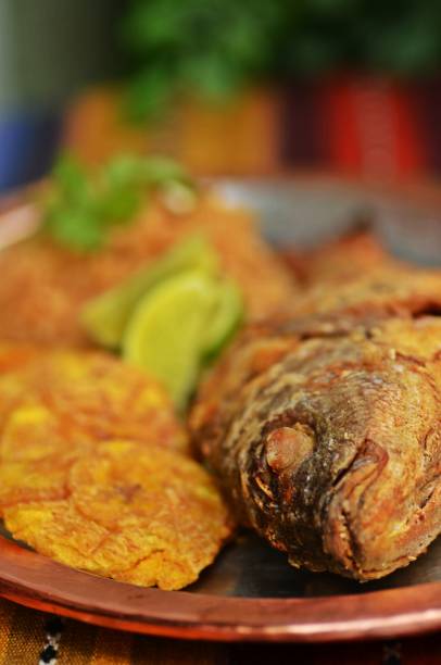 Viva Colômbia: pargo com arroz de coco e patacones Viva Colômbia: pargo com arroz de coco e patacones