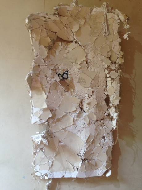 A borboleta de Franck Scurti parece sair da parede do hospital A borboleta de Franck Scurti parece sair da parede do hospital