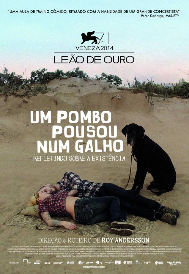 Pôster Um Pombo Pousou num Galho Refletindo sobre a Existência Pôster Um Pombo Pousou num Galho Refletindo sobre a Existência