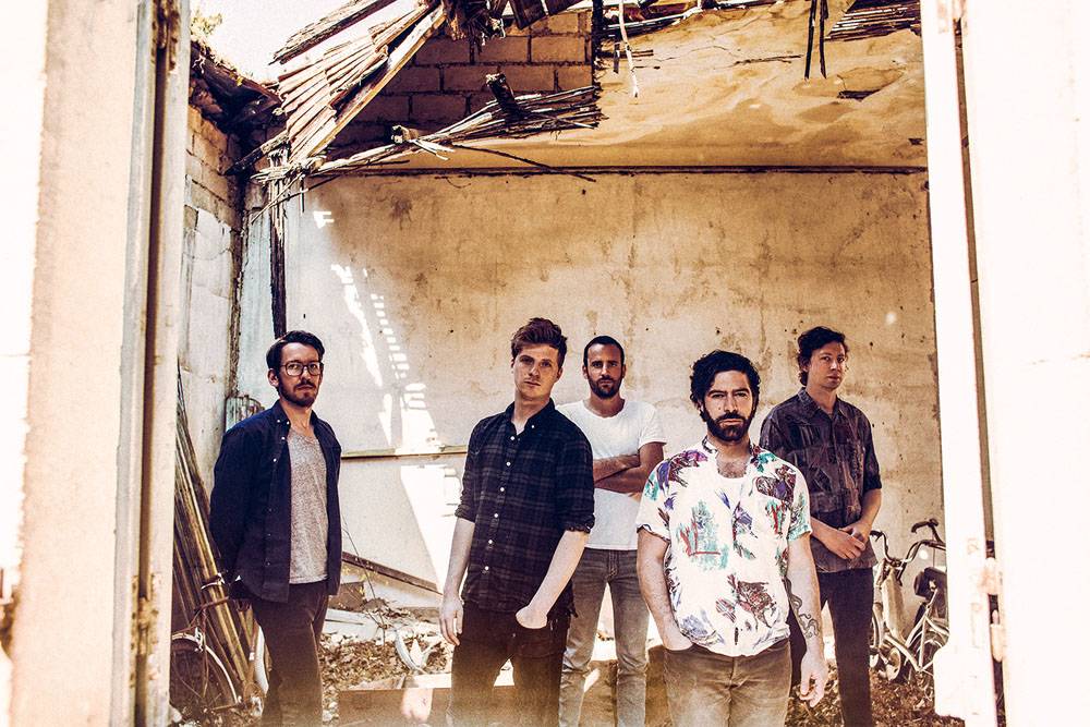 Foals