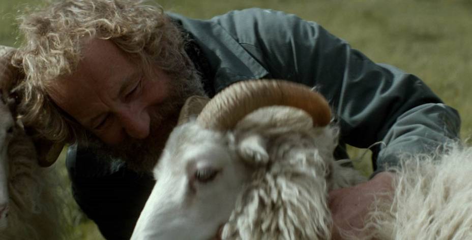 A Ovelha Negra: drama foi vencedor da mostra Un Certain Regard, no Festival de Cannes 2015 A Ovelha Negra: drama foi vencedor da mostra Un Certain Regard, no Festival de Cannes 2015