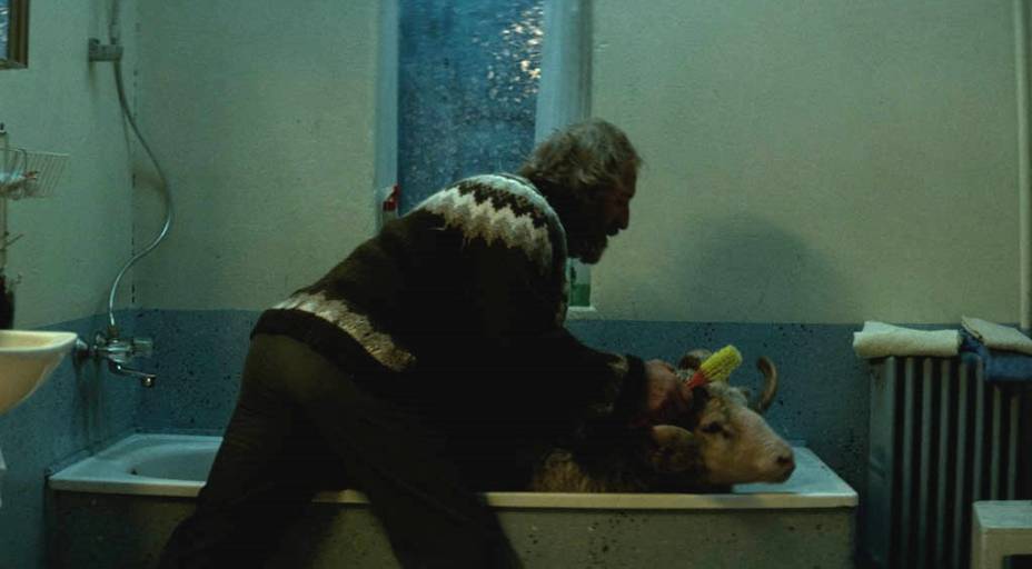 A Ovelha Negra: a direção é de Grímur Hákonarson A Ovelha Negra: a direção é de Grímur Hákonarson