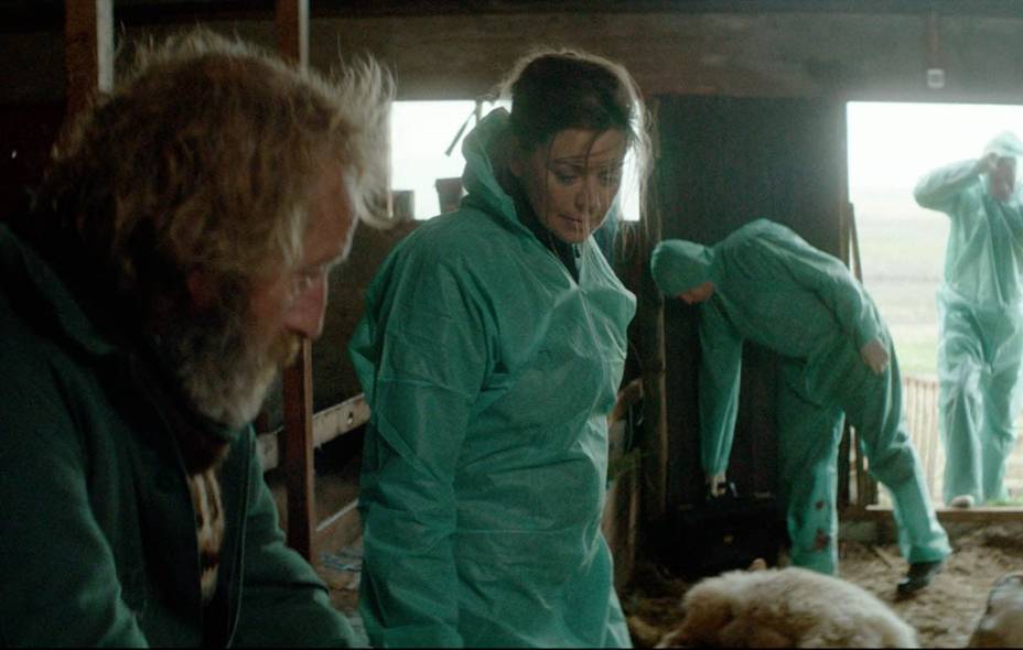 A Ovelha Negra: dois irmãos que não se falam precisam se unir para salvar suas ovelhas A Ovelha Negra: dois irmãos que não se falam precisam se unir para salvar suas ovelhas