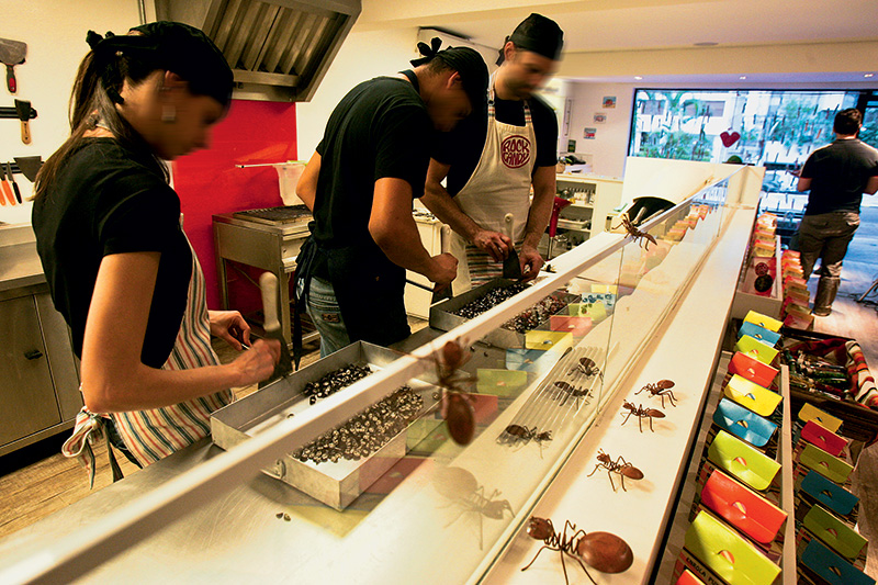 O perfumado salão: pode-se acompanhar a produção diariamente às 10h30 e às 16h O perfumado salão: pode-se acompanhar a produção diariamente às 10h30 e às 16h