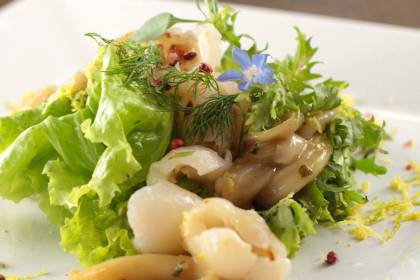 Tantra salada-de-lula-e-lichia.jpeg