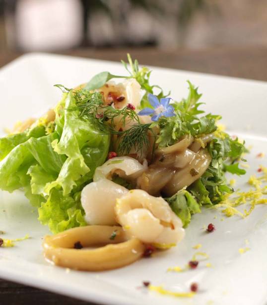 Salada de lula e lichia com molho levemente apimentado Salada de lula e lichia com molho levemente apimentado