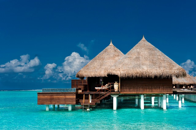taj_exotica5-smaller.jpeg