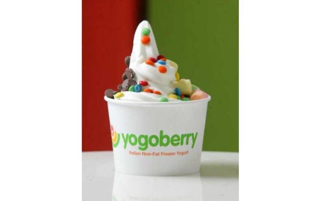 Yogoberry - Frozen Yogurts Yogoberry - Frozen Yogurts