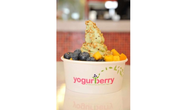 Yogurberry - Frozen Yogurts Yogurberry - Frozen Yogurts