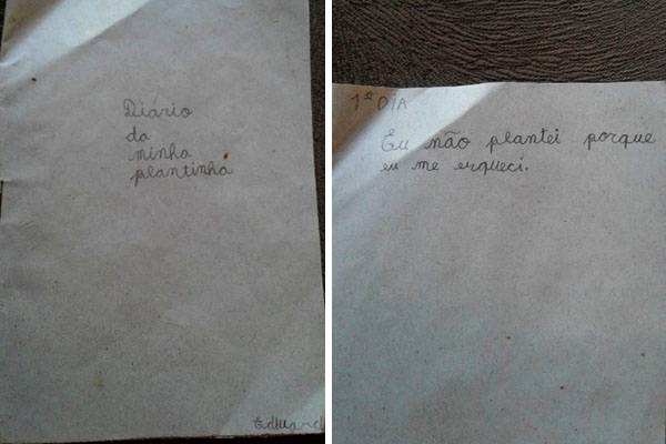 O irmão desta jovem deu uma resposta muito sincera para a professora após esquecer de fazer o dever de casa