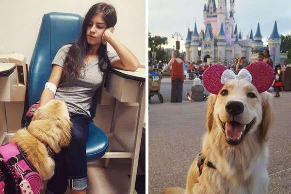 Simpático cão de serviço conquista a internet com “truques” que ajudam a dona no dia a dia