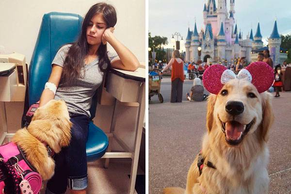 Simpático cão de serviço conquista a internet com “truques” que ajudam a dona no dia a dia