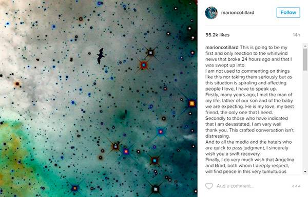 Após ser apontada como “pivô” em divórcio de Brad Pitt, Marion Cotillard publica desabafo