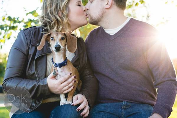 Cachorro entusiasmado “estraga” fotos de noivado de casal em ensaio divertido