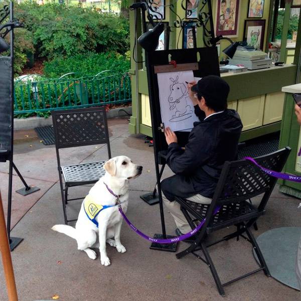 Caricaturista da Disneyland faz desenho de cão de serviço e a internet não consegue lidar com tanta fofura