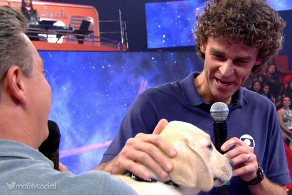 O Luciano Huck surpreendeu o Guga com um filhote de labrador e a internet foi à loucura