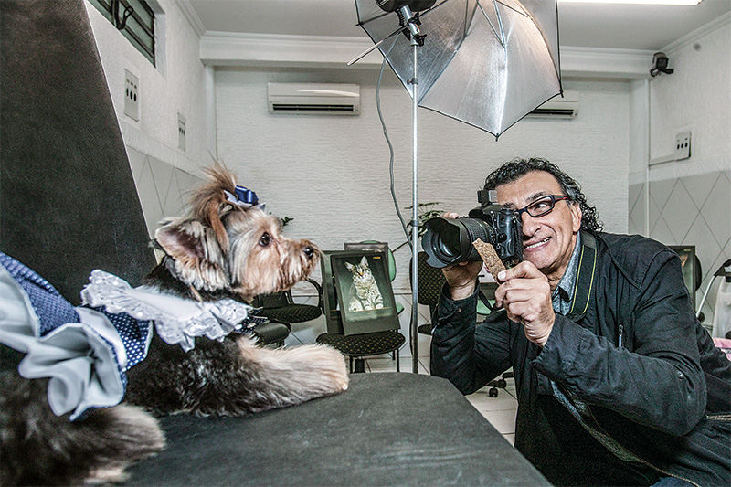 10 dicas simples para seu pet sair bem na foto