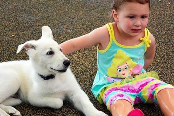 Garotinha que nasceu sem as pernas ganha filhote que não tem uma das patas