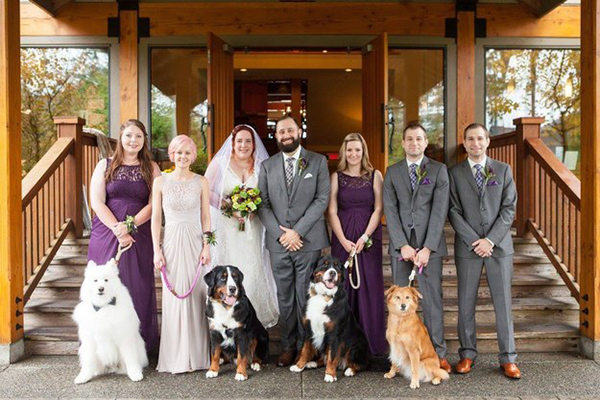 Os quatro cachorros deste casal roubaram a cena no dia do casamento de seus donos