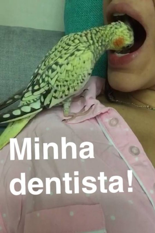 Bruna Marquezine publica vídeo de pássaro “fazendo limpeza” em seus dentes e vira piada