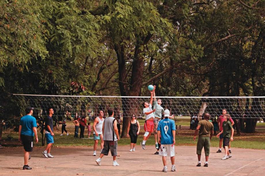 Parque do Ibirapuera: academia a céu aberto