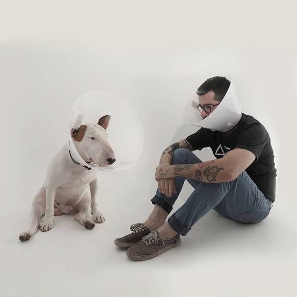 Fotos divertidas do bull terrier Jimmy Choo virarão livro
