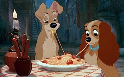 MIS promove dia especial (e com programação gratuita) para animais de estimação e seus donos